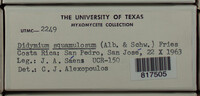 Image Associated With the Occurence